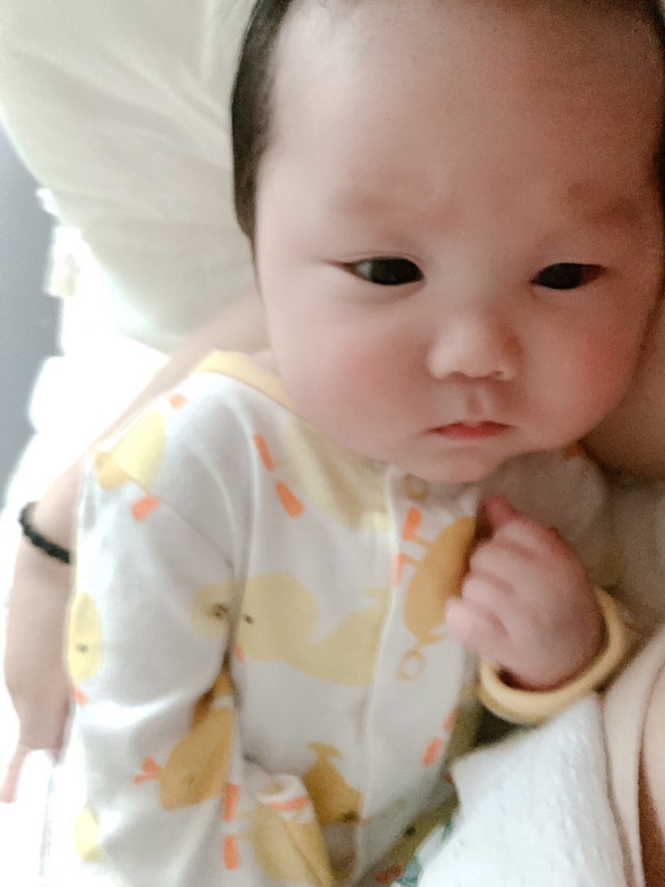  [D+77̉̈ᰔᩚ 강빵떡이의하루이야기] 병아리바디슈트, 자면서 쩝쩝, 아기엎드려재우기
