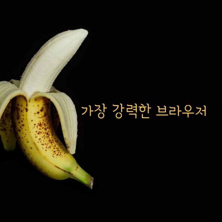  겉바속촉 부드러운 웹서핑 - 바나나 브라우저