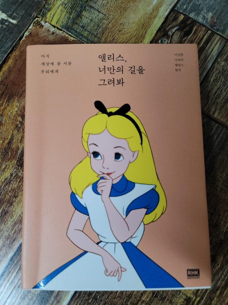  [독서] 앨리스 너만의 길을 그려봐