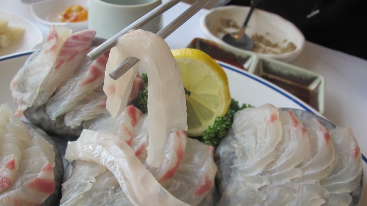  대포방파제 근처  참돔정식 제주도중문횟집 가볼만한곳 제주중문횟집 운해횟집