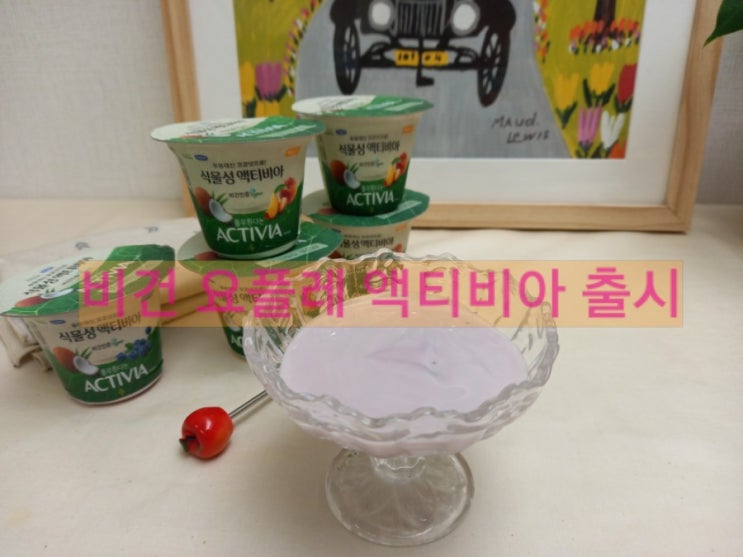  비건 요플레 풀무원 액티비아 내돈내산 후기