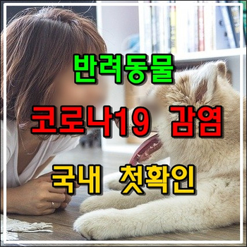 반려동물 코로나19 감염 국내 첫확인 되었다네요. 이런...