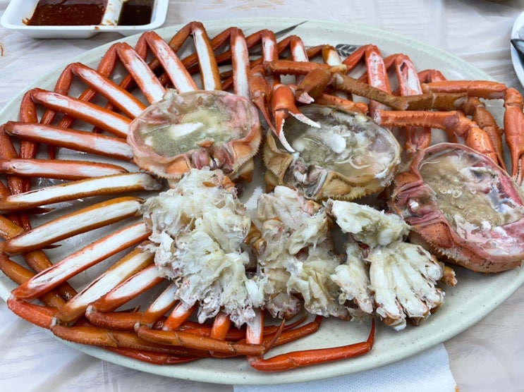  [대포항 맛집] 강남활어 속초 대게 맛집