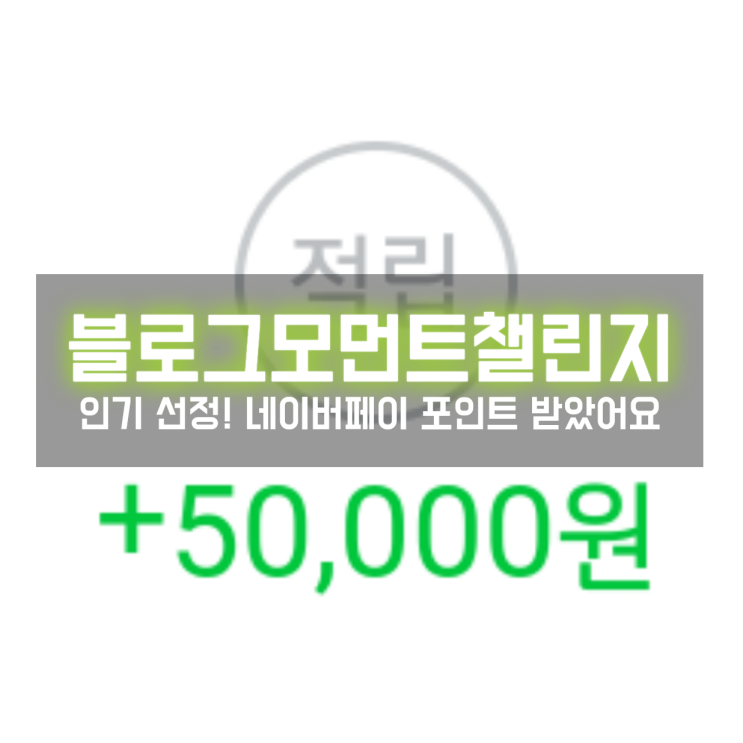  블로그 모먼트 챌린지 12월 선정! 네이버페이 포인트 수익 생겼어요