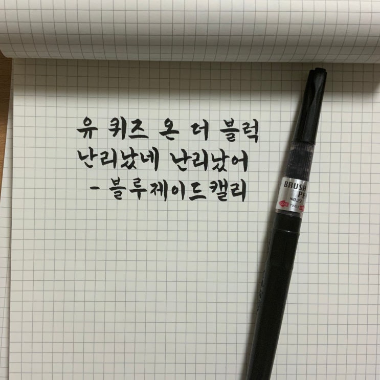 유퀴즈온더블럭 서예가 이정화 & 임명장 필경사 김이중 사무관 (소의해 특집) - 나도 따라써보기ㅋㅋ