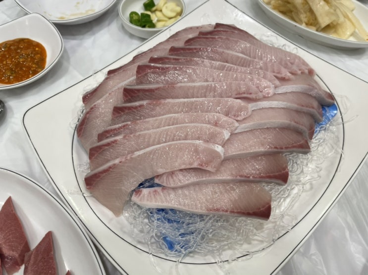  제주도 대방어의 끝판왕 - 제주 도민맛집 만배회센터