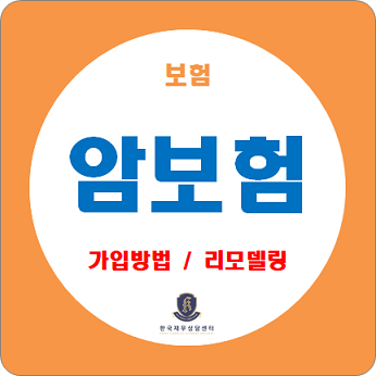  보험 가입방법 / 암보험 종류, 가입방법, 리모델링 방법 확인하세요.