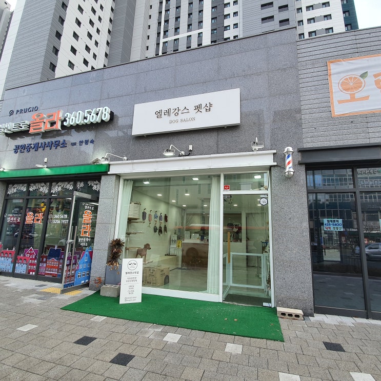  의왕 엘레강스 펫샵 (4.3)(내돈내산)