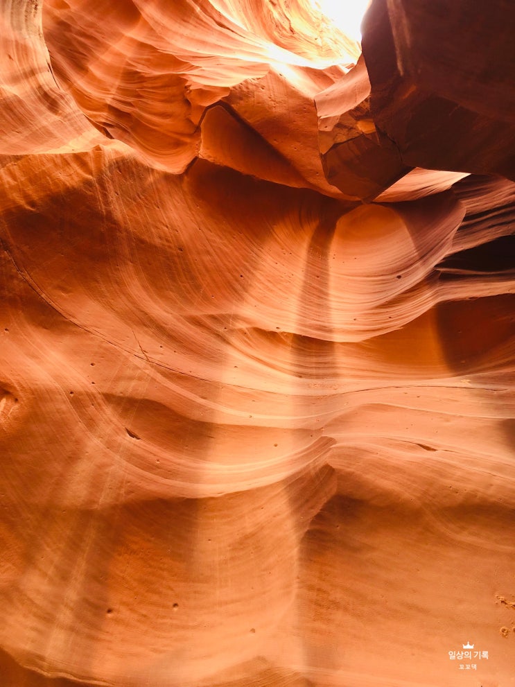 [2018.10] 미서부 신혼여행 - Day 4 그랜드 서클 feat. 엔텔로프 캐니언 Antelope Canyon