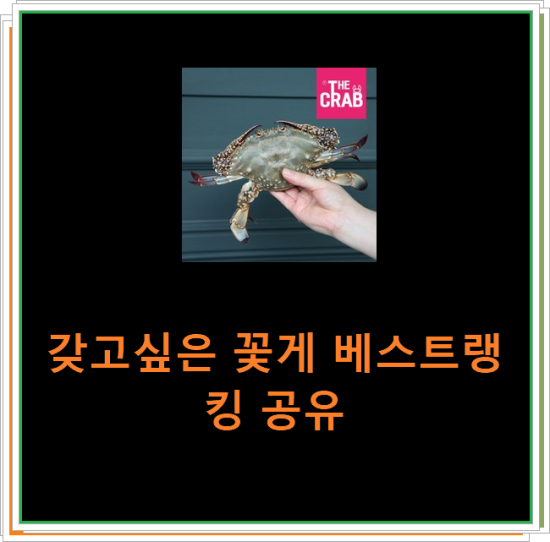 갖고싶은 꽃게 베스트랭킹 공유