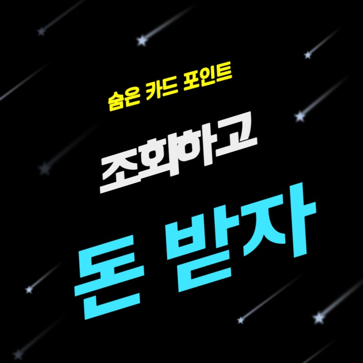 숨은 카드 포인트 조회로 돈 받자! 숨은 카드 포인트 조회로 돈 받자!