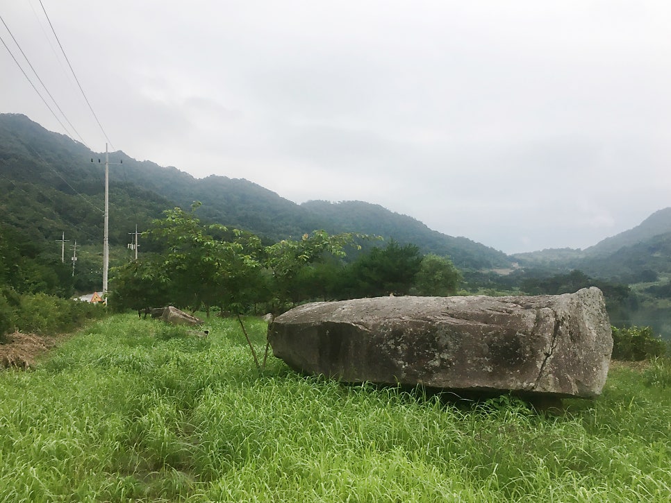 암치제 사진 1