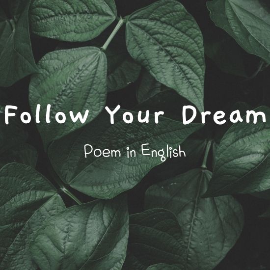 Poem in English 3탄 : Follow Your Dream by Amanda Bradley