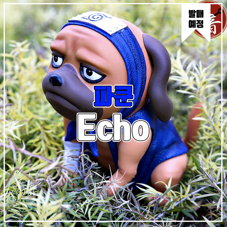  [소식] Echo 나루토 - 파쿤