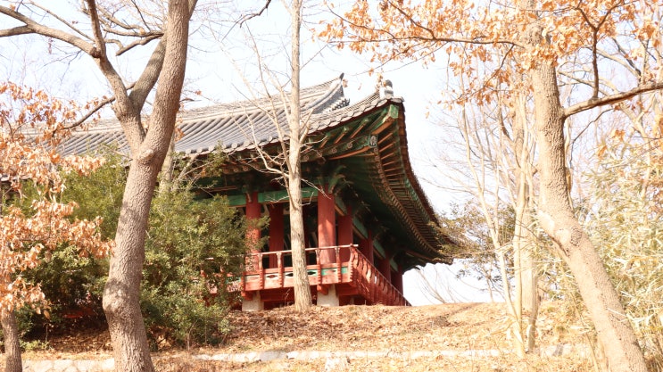 1월 일상 낮에는 맑고 포근한 날씨