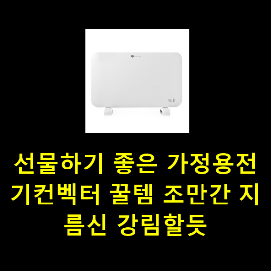 선물하기 좋은 가정용전기컨벡터 꿀템 조만간 지름신 강림할듯