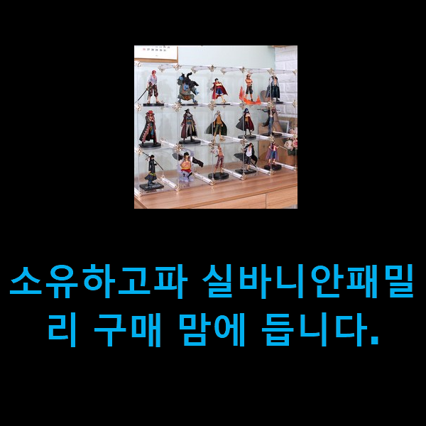  소유하고파 실바니안패밀리 구매 맘에 듭니다.