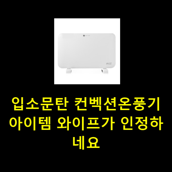 입소문탄 컨벡션온풍기 아이템 와이프가 인정하네요