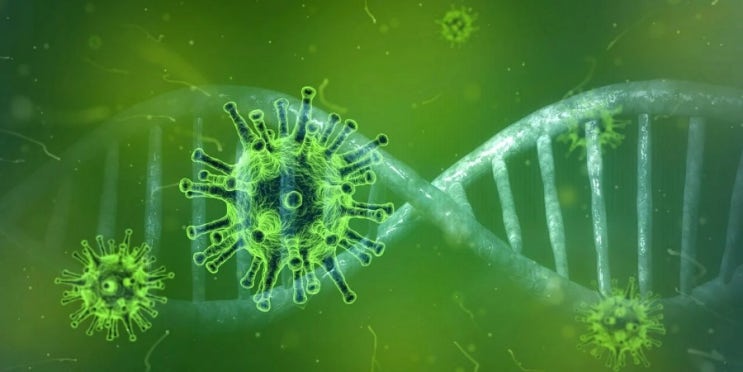  코로나 백신, mRNA 백신 이것만 알자!! 근데 접종시기는?..ㅠㅠ