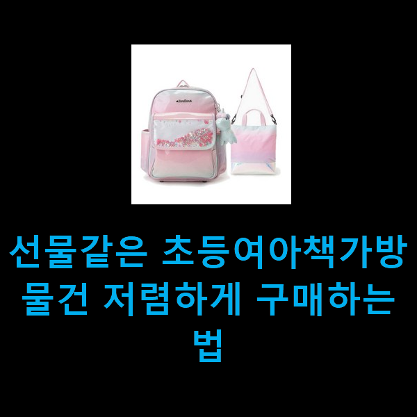  선물같은 초등여아책가방 물건 저렴하게 구매하는법