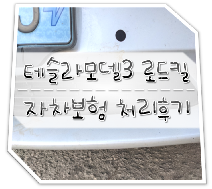 테슬라 모델3 로드킬 자차보험 처리후기