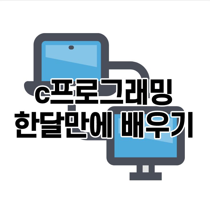 c프로그래밍을 한 달만에 배우는 법 c프로그래밍을 한 달만에 배우는 법