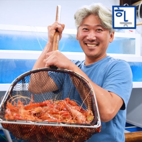 인기 급상승인 해잡남 독도새우 꽃새우 닭새우 도화새우 (500g 1kg), 1개, (단하루특가)꽃새우 500g 급랭상품 추천해요