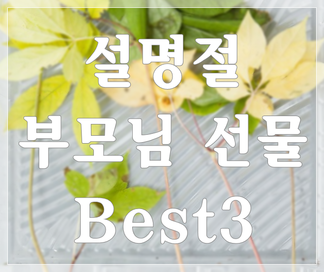  설명절 부모님 선물 골라보기!! Best3