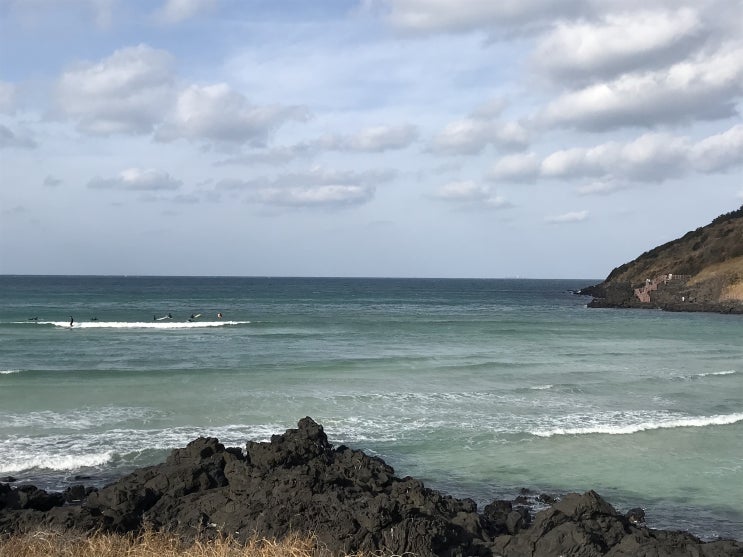  [제주동쪽여행] 산책하기 좋은 함덕서우봉잔디공원 그리고 함덕해변