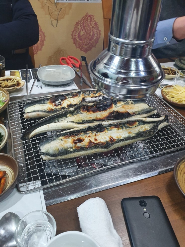  [영통통영장어][민물장어][방역수칙준수][코로나꺼져][분홍스머프][이실장][주식회사봄][당진단필지토지][소액으로내땅을가질수있다][읽을책이많아서][짧게]