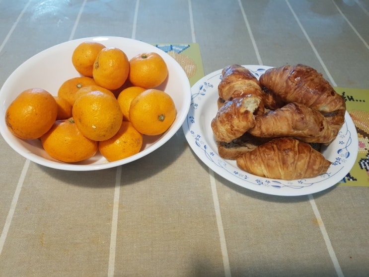  동네 산책을 나서보아요.