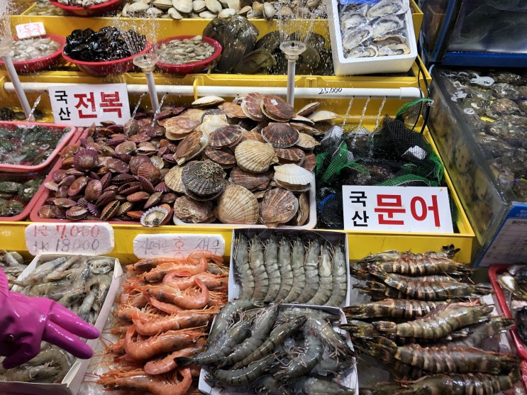  인천중구_연안부두 어시장의 모든 것 / 인천종합어시장 이용하는 법(주차/제철수산물/시세/화장실/지도/이음카드)