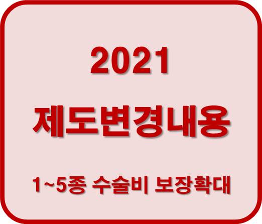 2021 제도 변경 내용 1~5종 수술비 포함