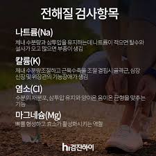 체액전해질공부 세포내액외액 양이온음이온:항이뇨호르몬 레닌안지오텐신 알도스테론 체액전해질공부 세포내액외액 양이온음이온:항이뇨호르몬 레닌안지오텐신 알도스테론