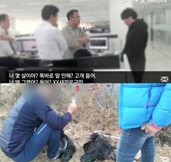  [취업] 중소기업 VS 대기업 ①어디로 가야하오