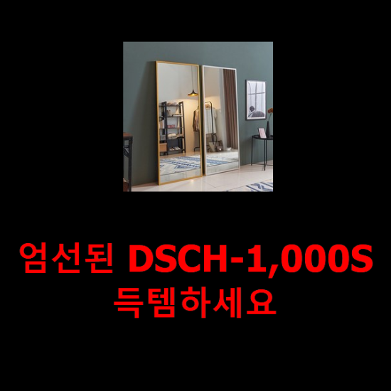  엄선된 DSCH-1,000S 득템하세요