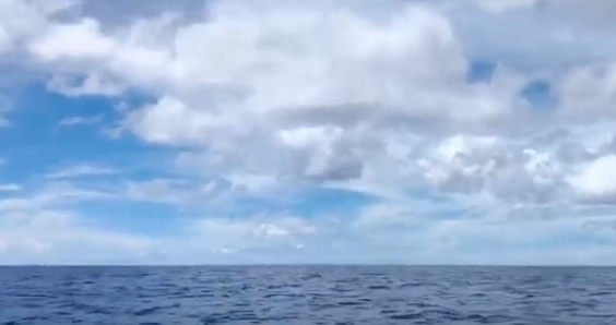 괌 바다 물고기 바다낚시 갔다가 찍어본 유튜브 짧은동영상