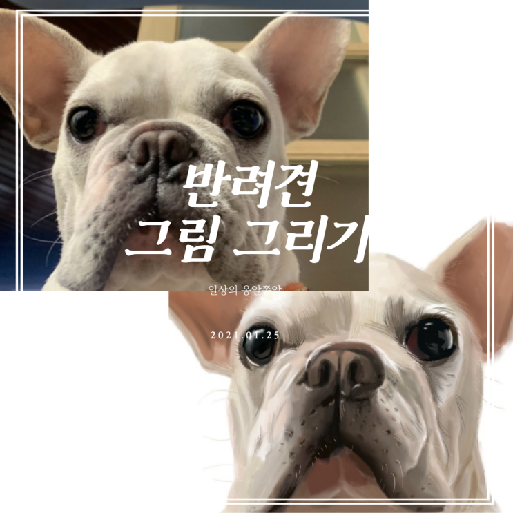  반려견을 아이패드 에어4로 쉽게 그림 그리기 2탄