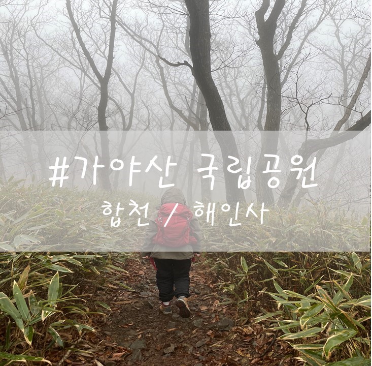 [가야산 국립공원] / 합천 / 해인사-상왕봉 코스(1,432m)