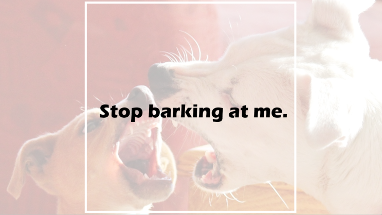  Stop barking at me.