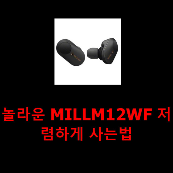 놀라운 MILLM12WF 저렴하게 사는법