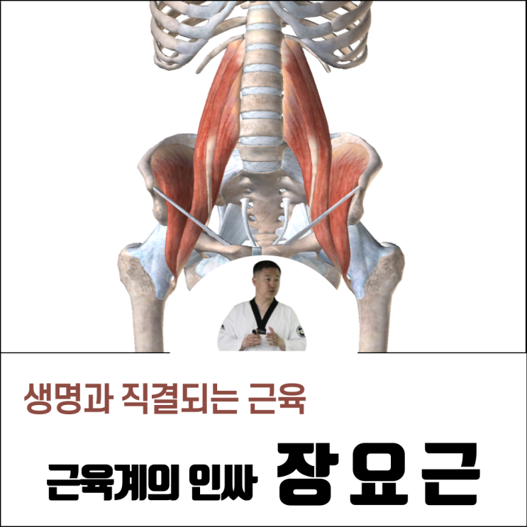  장요근 스트레칭 통증 운동 무조건 알아야 합니다.