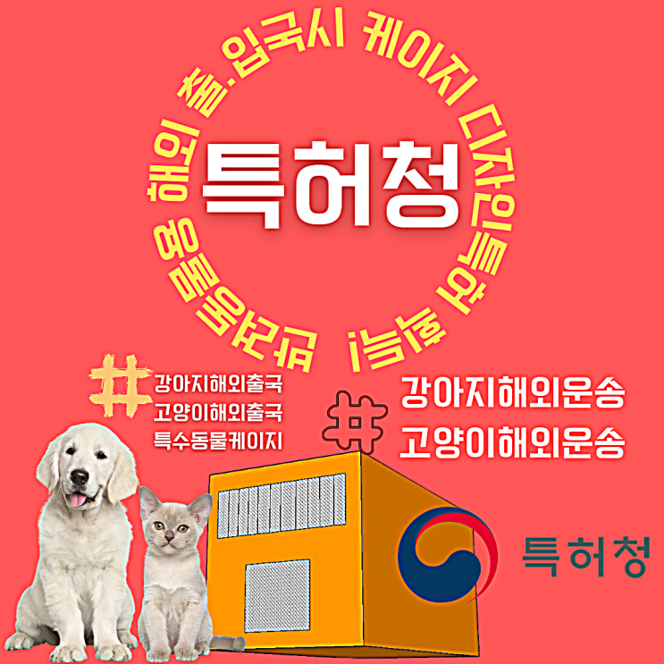  강아지입국통관 카고케이지 반려견출국
