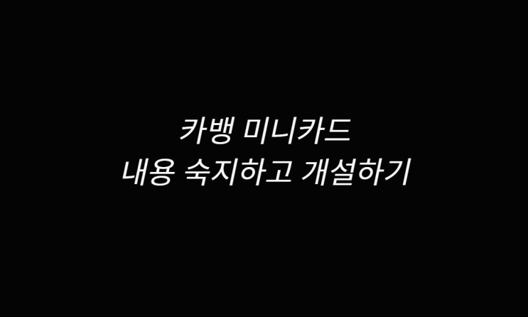  카뱅 미니 카드 알아보기