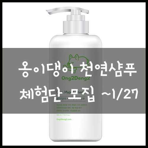  옹이댕이 천연샴푸 체험단 모집