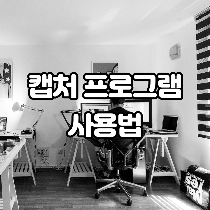  캡처 프로그램 사용법 및 폰사진 블로그로 옮기기