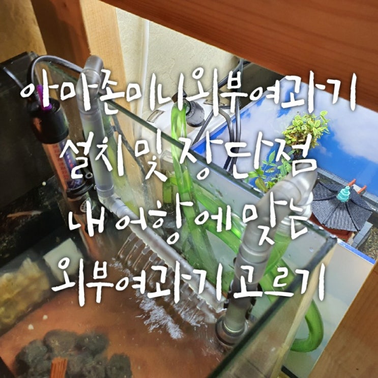 아마존미니외부여과기 설치 후기 및 장단점 - 외부여과기 추천 아마존미니외부여과기 설치 후기 및 장단점 - 외부여과기 추천
