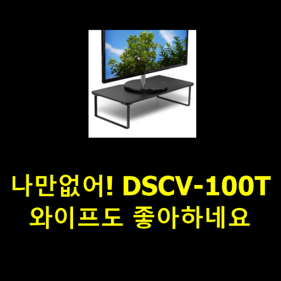 나만없어! DSCV-100T 와이프도 좋아하네요