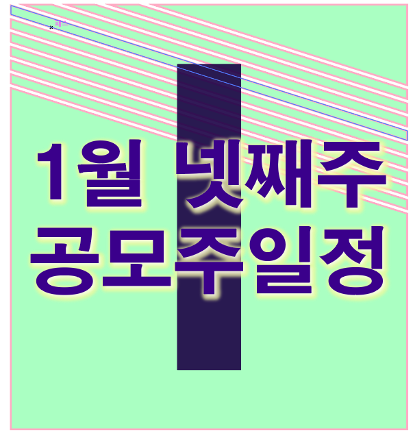  넷째주 1월 공모주 일정