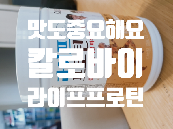  어른 꺼 단백질 파우더 칼로바이 라이프프로틴